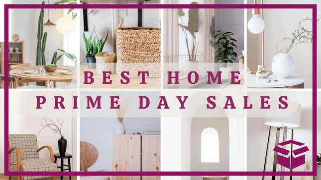 Image for article titled Shop All Home Deals At The October Prime Day Sale